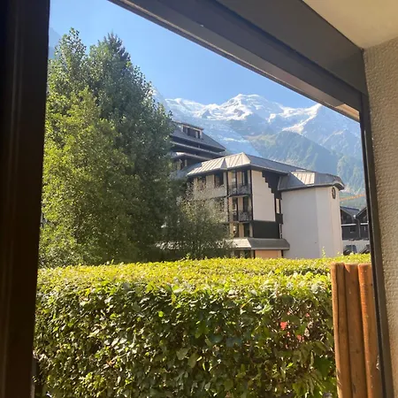 Mont Blanc View