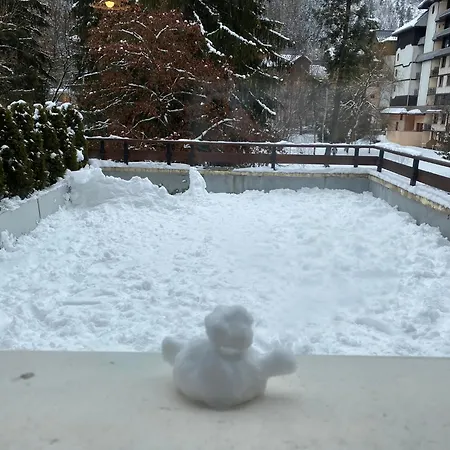 Mont Blanc View Apartamento Chamonix Mont Blanc